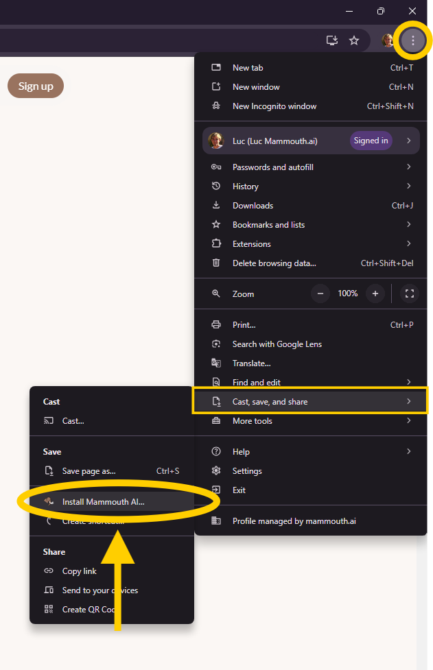 download mammouth desktop app